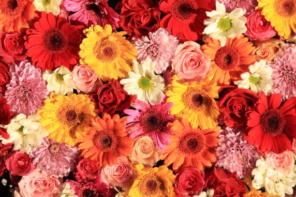 istock Colorful wedding flower arrangement 1209554080