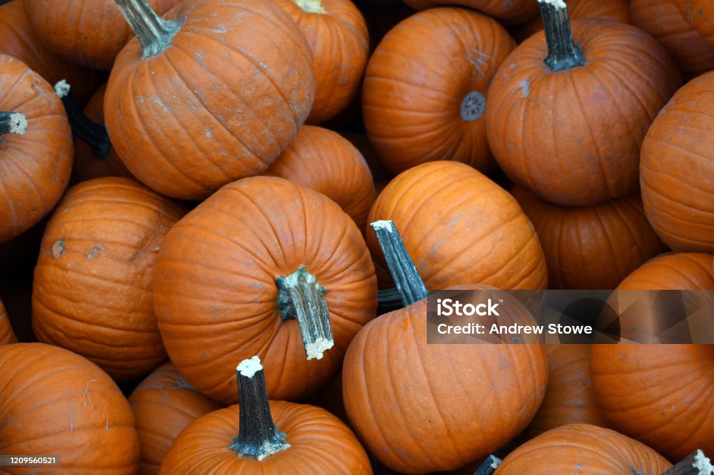 Squashed Container A Local Store Squashed Container Stock Photo - Download Image Now ...
