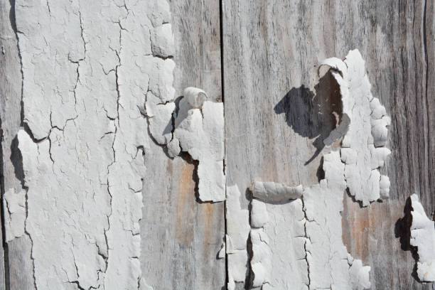 istock White Peeling Paint on Weathered Wood 1209566617