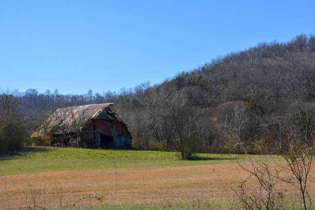 istock Rural Agricultrual Scene 1209568393
