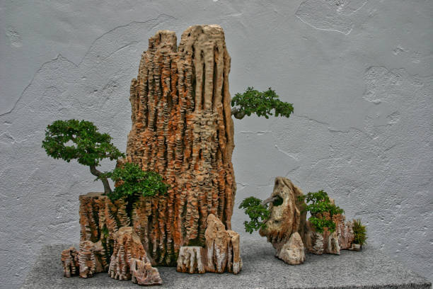 istock Bonsai miniature with trees growing on rock 1209577516