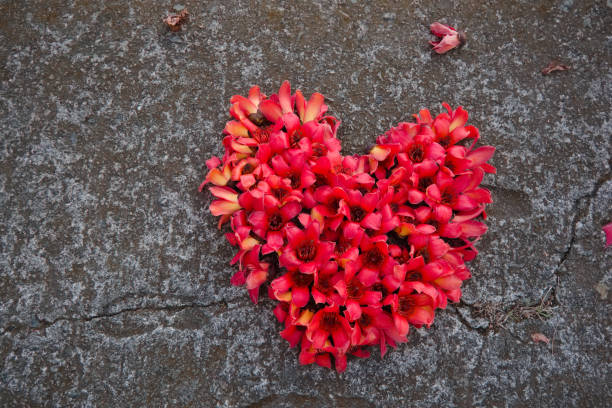 Rose petal heart and rose stem for Valentine's Day.