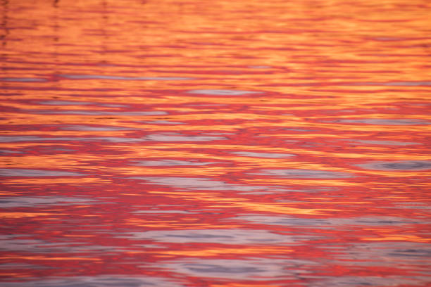 istock Sunset at Sandbanks in Poole Harbour 1209577539
