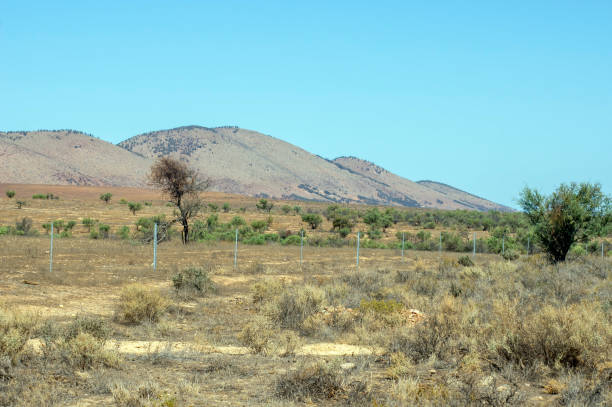 view of the flinders' ranges, south australia, australia - barbed wire rural scene wooden post fence imagens e fotografias de stock