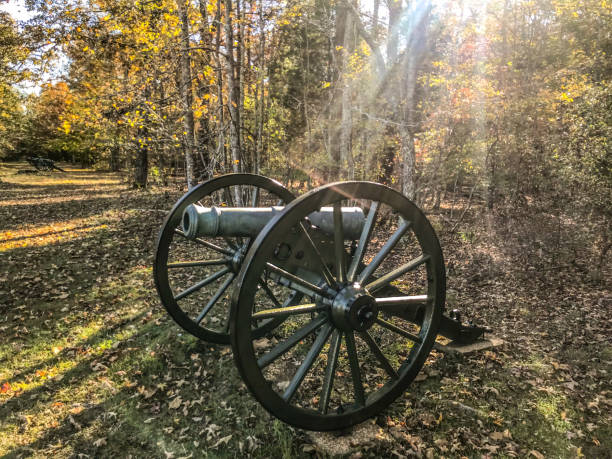 istock Cannons in the Fields of Shilo 1209584946