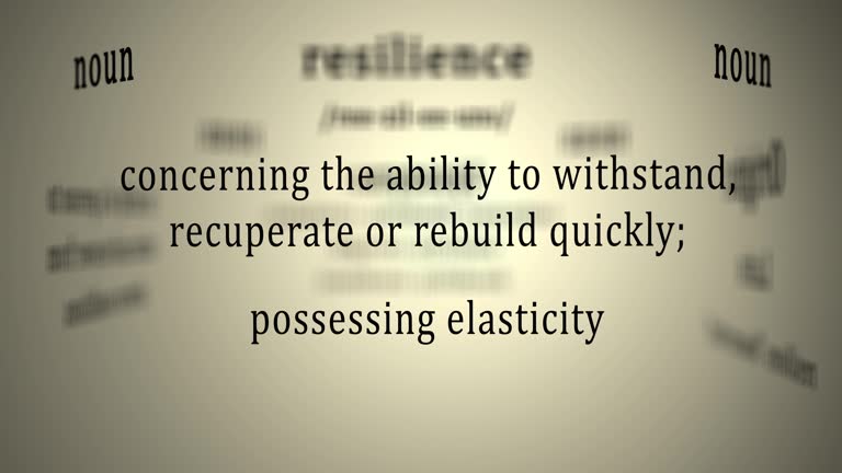 Definition: Resilience