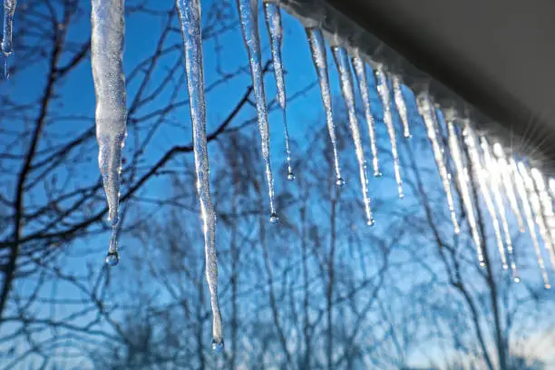 Transparent clear ice shining in the sun in winter or spring day. Frozen water in the form of long icy cone-shaped.