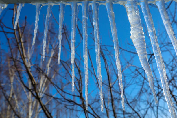 Transparent clear ice shining in the sun in winter or spring day. Frozen water in the form of long icy cone-shaped.