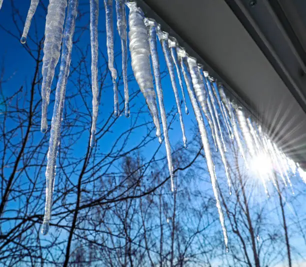 Photo of Icicles against the blue sky.