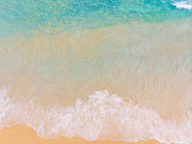 istock Aerial view summer sea beach wave white sand copy space 1209585904