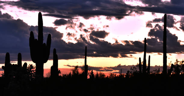 istock Desertscape at Dusk in Arizona 1209586084