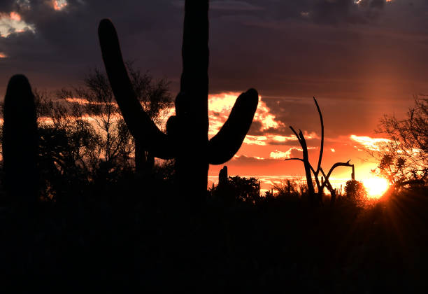 istock Desertscape in Arizona at Dusk 1209586089