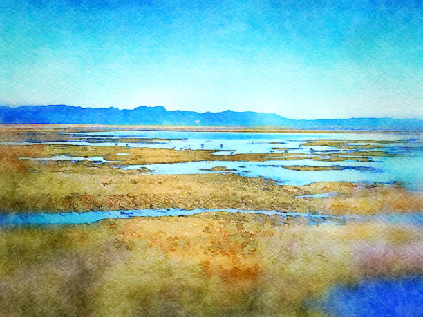 Watercolor Illustration of Seascape Horizon at Lowtide This is my Photographic Image of a Seascape Horizon at Lowtide in a Watercolour Effect. Because sometimes you might want a more illustrative image for an organic look. The image was taken in Pohara Beach, Near Takaka, in the Tasman District of New Zealand's South Island. nelson landscape beach sand stock pictures, royalty-free photos & images