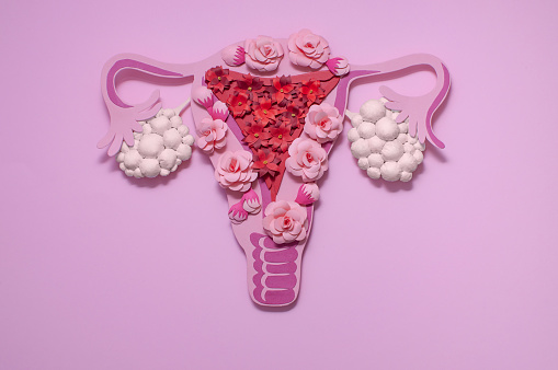 Síndrome de ovario poliquístico conceptual, SOP. Sistema reproductivo de mujeres. photo