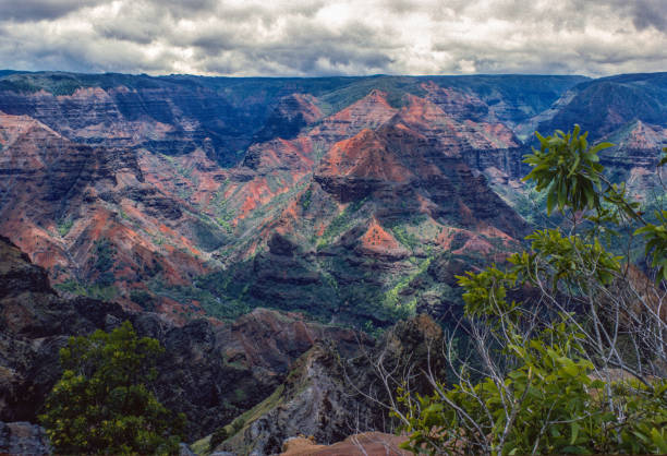 Kauai Waimea Canyon Horizontal - 1984