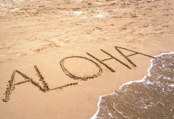 Aloha & Surf Kauai - 1984