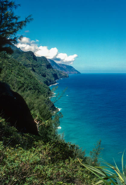 Na Pali Coast State Park - Headlands to the Sea Vertical - 1984 Vertical