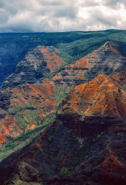 istock Kauai Waimea Canyon Vertical - 1984 1209595076