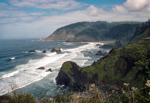 istock Ecola State Park - Beach & Headlands - 1983 1209595601