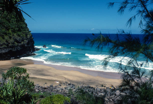 istock Beach on Na Pali Coast State Park - 1984 1209595629