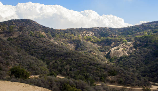 istock Griffith park, Losx Angeles, California 1209595639