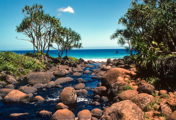 Na Pali Coast State Park - Rocky Stream - 1984