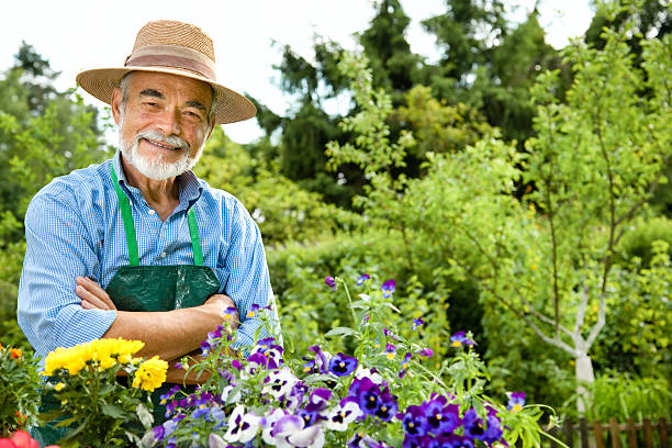 istock Senior man gardening 120960144