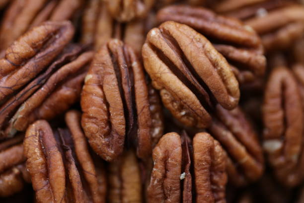 istock Pecan nut. Pecan macro texture. Useful products. Vegan and veggie nutrition ingredient. Low carbohydrate nutrition. Brown raw nuts background. 1209605425