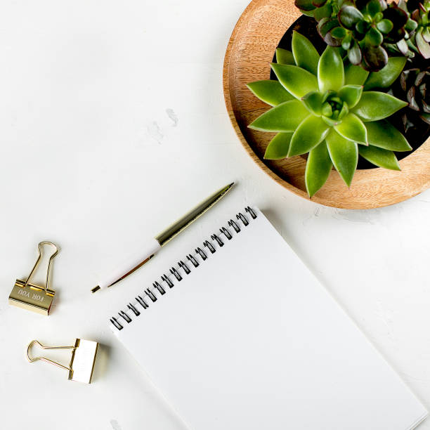 istock White fashion feminine home office workspace with succulent, empty blank paper notebook, pen and clips. Top view. copy space, flat lay, square image. Mockup concept 1209607270
