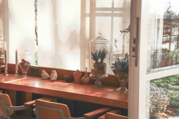 istock Making Home Quarantine Easier with Houseplants 1209610282