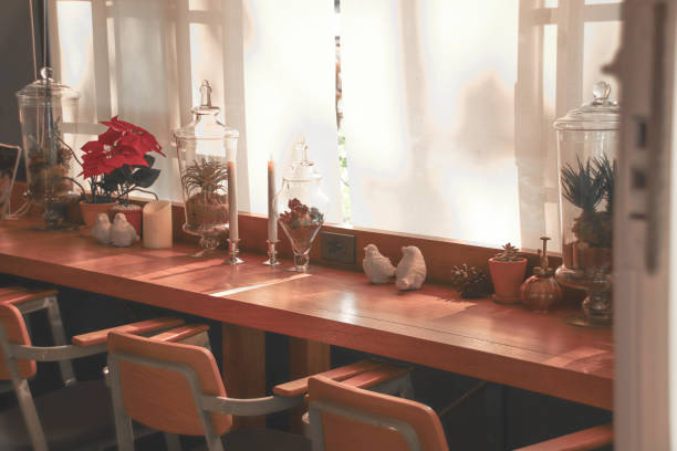 istock Making Home Quarantine Easier with Houseplants 1209610435