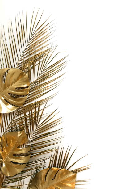 istock Gold palm and monstera leaves plant pattern frame isolated on a white background. top view. copy space. abstract. 1209613523