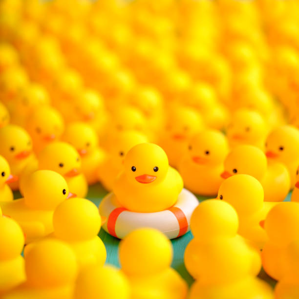 istock One yellow rubber duck on a safety inflatable life ring facing the camera as many other yellow rubber ducks gather around and look at the duck on the life ring, set on a turquoise wooden table background. 1209619205