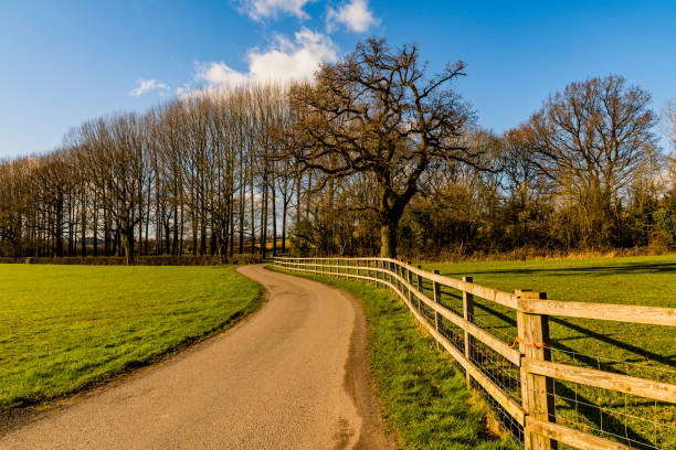 istock spring trees sunlight scenic landscape generic season road lane countryside 1209621816