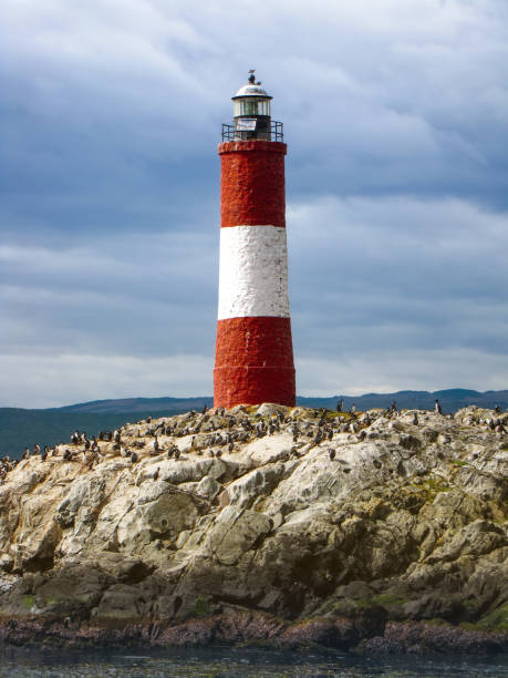 Red and white striped lighthouse on rocks Les Eclaireurs Lighthouse in the Beagle Channel Ushuaia, Tierra del Fuego end of the world, South America les eclaireurs lighthouse photos stock pictures, royalty-free photos & images
