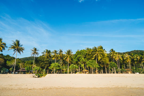 istock Beauty beach with coastline in Thailand 1209623811