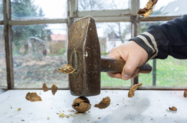 crack nuts with a hammer, nuts fly through the air