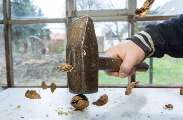 crack nuts with a hammer, nuts fly through the air stock photo