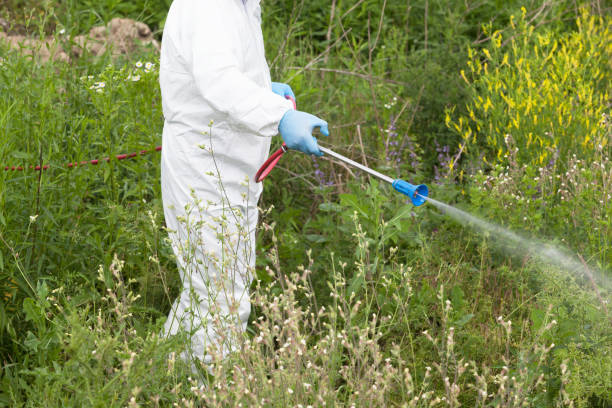 worker in protective workwear spraying herbicide on ragweed. hay fever concept. - hay fever imagens e fotografias de stock