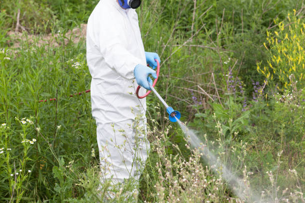 istock Worker in protective workwear spraying herbicide on ragweed. Hay fever concept. 1209625211