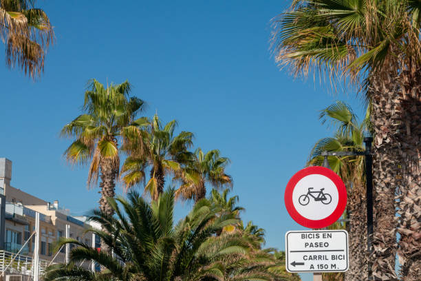 istock Cycling Lane in Valencia, Spain 1209625951