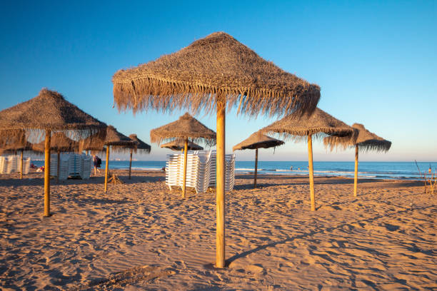 istock Malvarrosa Beach in Valencia, Spain 1209626158