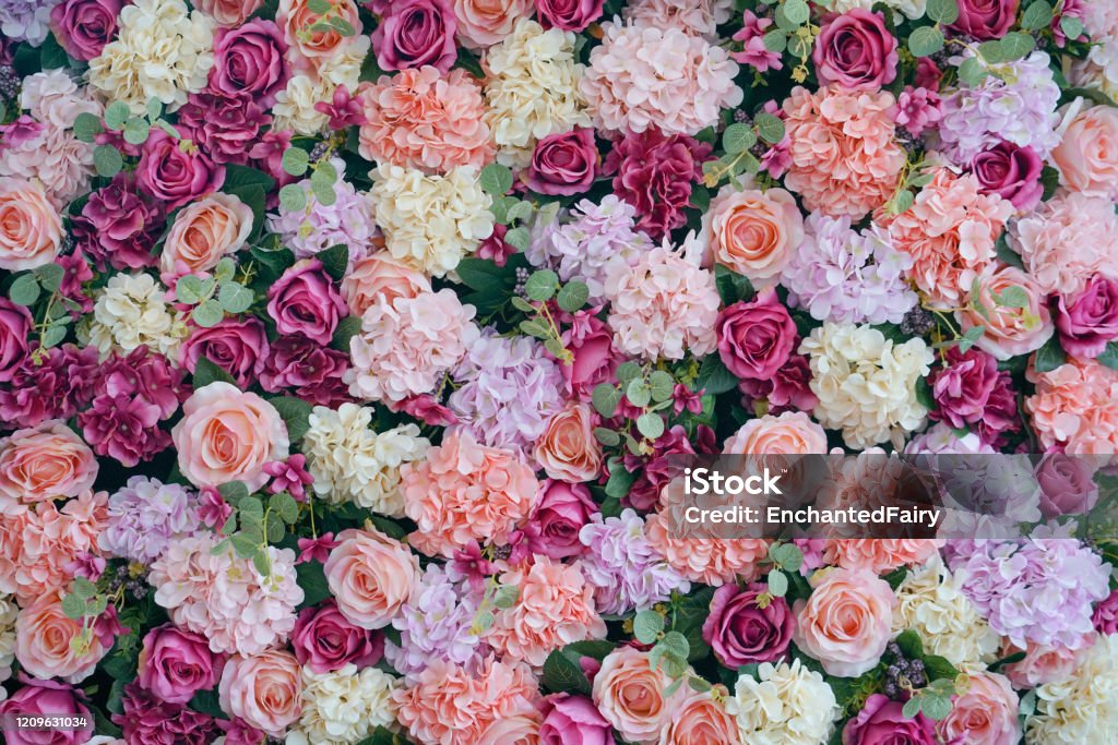 꽃 배경입니다 만개 또는 꽃 의 아름다운 꽃의 패턴 결혼식 피로연을위한 꽃 배경 0명에 대한 스톡 사진 및 기타 이미지 - 0명,  개화기, 계절 - Istock