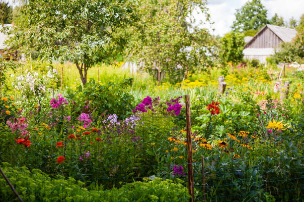 istock Beautiful garden flowers 1209631065