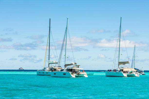 Turquoise colored sea with ancored catamarans, Tobago Cays, Saint Vincent and the Grenadines, Caribbean sea Turquoise colored sea with ancored catamarans, Tobago Cays, Saint Vincent and the Grenadines, Caribbean sea tobago cays stock pictures, royalty-free photos & images