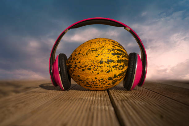 istock Headphones with sugar melon. 1209631246