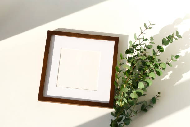 istock photo frame mock up, eucalyptus leaves  and shadows top view, flat lay, copy space. 1209634456
