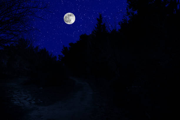 istock Mountain Road through the forest on a full moon night. 1209641751