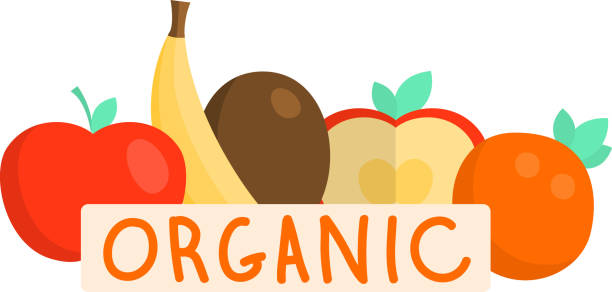 신선한 유기농 과일, 노란 바나나, 빨간 사과, 키위 - plum red white background organic stock illustrations