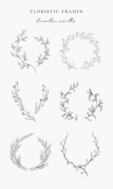 Line drawing vector floral wreaths frames branches Collection of delicate line drawing vector floral wreaths frames. hand drawn delicate flowers, branches, leaves, plants, herbs. Botanical illustration. Leaf logo wildflower drawing stock illustrations
